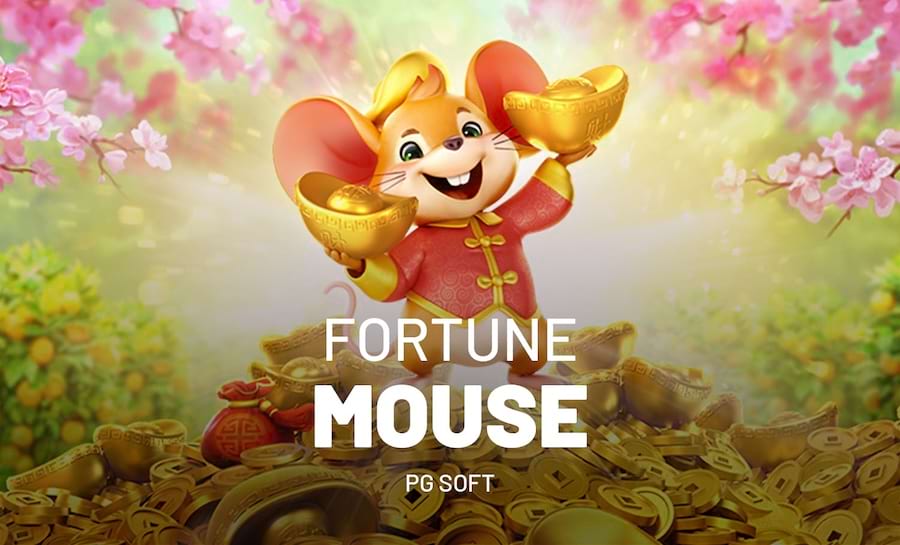esporte net se