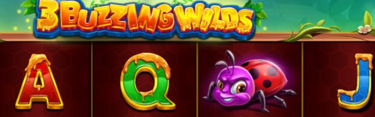 20bet casino pk