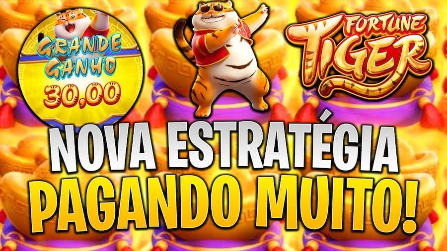 slots plataforma
