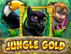 pinnacle studio content pack