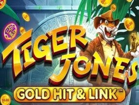 slots machine online